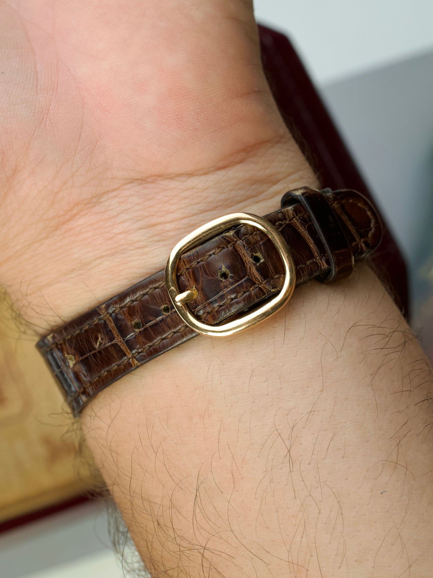 Patek Philippe Ellipse 3738r collectible, buckle
