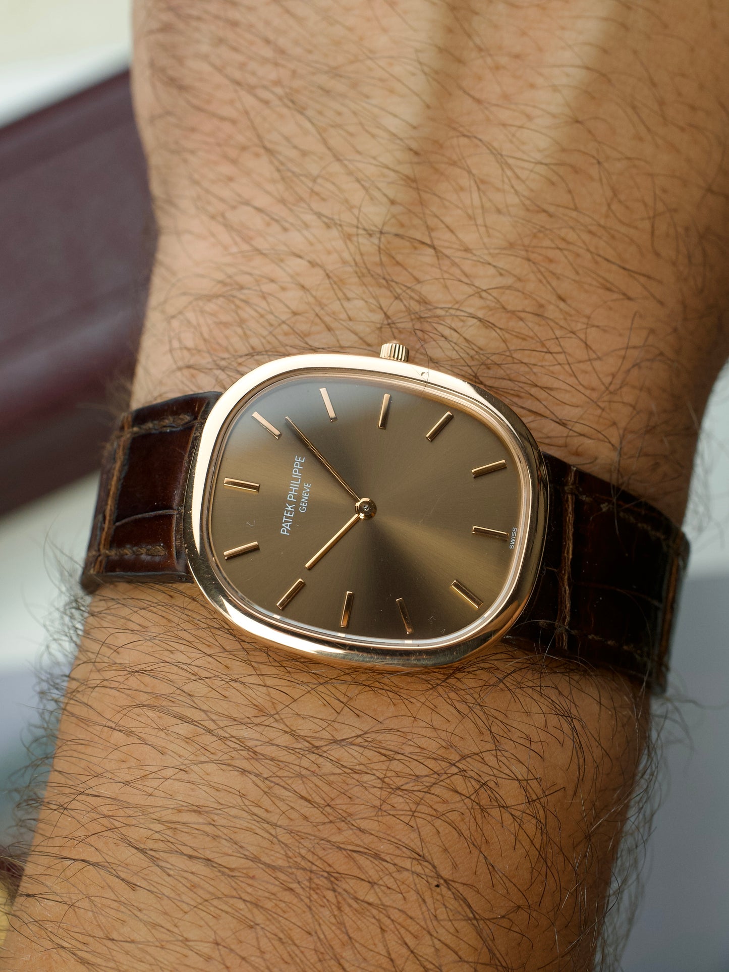 Patek Philippe Ellipse 3738r luxury timepiece, wrist shot